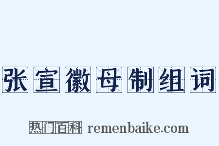 张宣徽母制组词是什么意思的图片